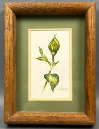 Original Susan LeBow Framed And Signed Watercolor Of A Flower Bud.