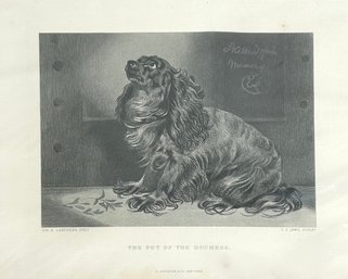 C.G. Lewis Sculpt 'The Pet Of The Duchess' Print