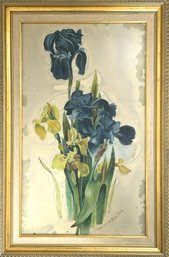 Framed Original Watercolor Purple And Yellow Iris Signed JMC *Local Pick-Up Only*