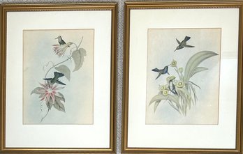 Set Of 2 Vintage Colored Prints Hummingbirds And Flowers *Local Pick-Up Only*