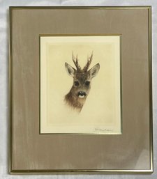 Deer With Antlers Drawing  - Signed