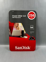Sandisk 256gb Flash Drive