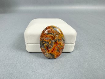 Bumblebee Jasper