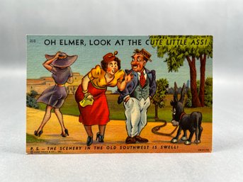 Vintage Comedy Postcard