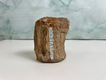 Petrified Mastodon Bone