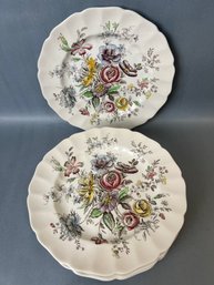 8 Johnson Brothers - Sheraton Dinner Plates