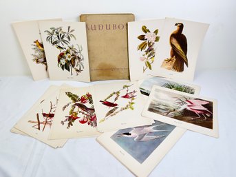 Portfolio Of 36 Audubon Prints