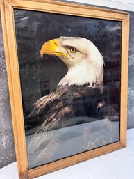 Framed Bald Eagle Print.  *Local Pick-Up Only*