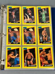 Vintage Wcw Wrestling Collectors Cards In Binder Sleeves