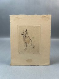 Vintage Etching Of Dog Signed