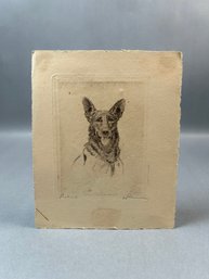 Portrait Etching Of Dog Signed