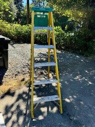 Werner 6ft Ladder