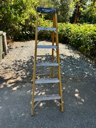 Werner 6ft Ladder