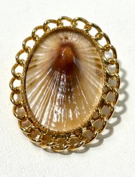 Vintage Polished Shell Brooch