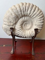 Ammonite Fossil Repro With Stand.