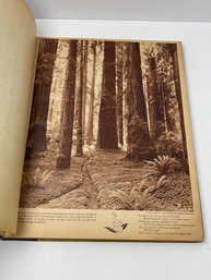 Vintage Pictorial California Preowned