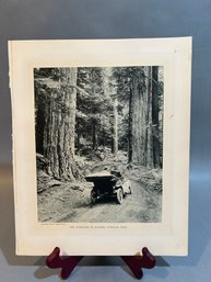 Print 1910 The Entrance To Rainier National Park