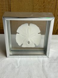 Vintage Transart Sand Dollar Framed *LOCAL PICKUP ONLY - NO SHIPPING*