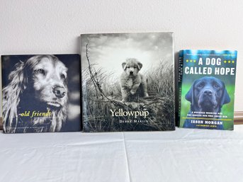 3 Books About Mans Best Friend.