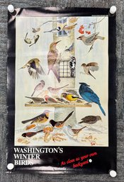 Washingtons Winter Birds