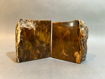 Petrified Larch Wood Book Ends