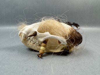 Pacific Coast Native- Small Animal Skull With Beads And Feathers