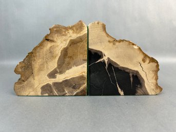 Petrified Wood Bookends