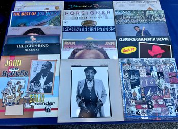 Lot Of Vintage Lps Blues And More