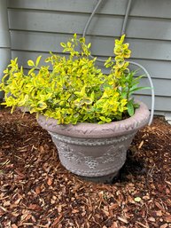 Outdoor Terracotta Color Resin Planter (#1)