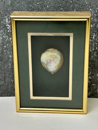 Vintage Figi Giftware Sea Shell Framed Shadow Box *Local Pick Up Only*