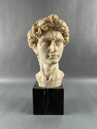 Vintage Michelangelos David Bust - Resin On Marble Stand