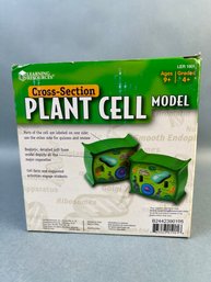 Learning Resources Cross Section Foam Plant Cell Model.