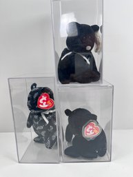 3 Bear Beanie Babies In Cases. *Local Pickup Only*