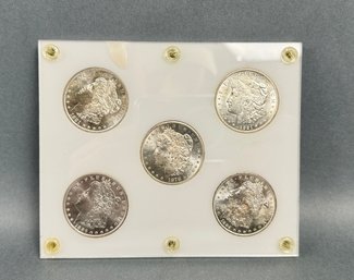 Silver Dollars From 5 US Mints 1878 Carson City Resorts