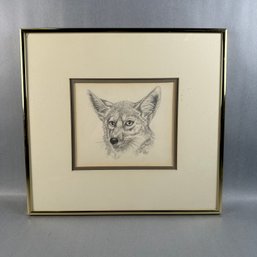 Susan Le Bow - Original Pencil Drawing Of Fox