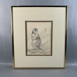 Susan LeBow - 1984- Original Pencil Drawing Of Squirrel-Looking At You Kid