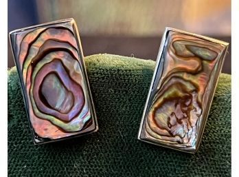 Abalone Clip Earrings