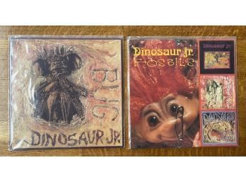 Dinosaur Jr. 'Fossils,' Bug'