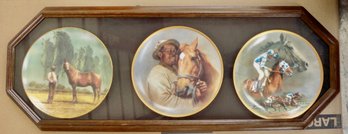 Vintage Collector Derby Horse Plates  Framed 39 X 15