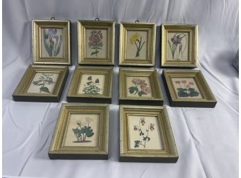 Old Print Exchange. Hand Colored Floral Lithographs