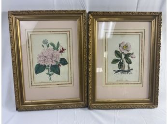 Pair Of Hand Colored Lithograph By A B Strong
