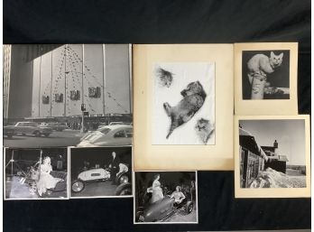 Large Ephemera Lot Of Prints. Cats & Dog, Car Show Ft Ernie McCoy, Boat Show, And Winter Cabin.