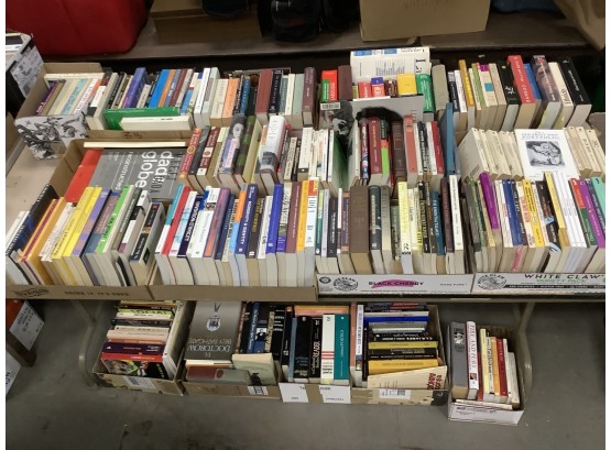 Large Grouping Of Books Including Novels, Spanish, Brazil, Israel, And Others Group B