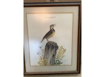 Don Whitlatch Eastern Meadowlark Signed And Numbered 64/1000 Print