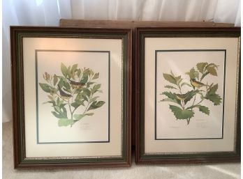 Don Whitlatch Pair Of Kentucky And Canada Warblers Signed And Numbered Prints 263/1500