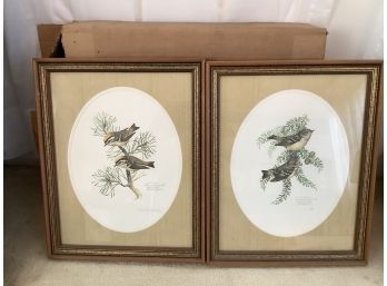 Don Whitlatch Kinglets Signed And Numbered 802/1500 Prints