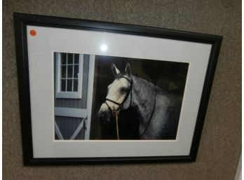 Double Matted And Framed Horse Photo