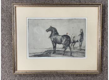 Paulus Potter “The Neighing Horse” Antique Etching