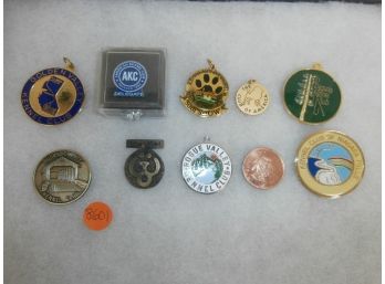 10 Kennel Club Medals Including 1 Golden Valley, 1 AKC American Kennel Club Delegate And More
