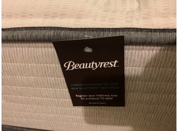 Twin Beautyrest Mattress And Box Spring Only 2 Month Old